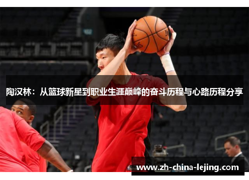 陶汉林:从篮球新星到职业生涯巅峰的奋斗历程与心路历程分享